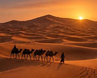 Désert de Merzouga
