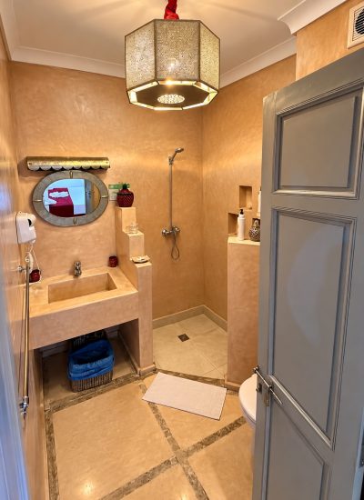 Salle de bains de la chambre Mérinides avec vasque et douche