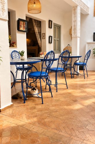 riad-dar-chadia-patio-bleu-chat