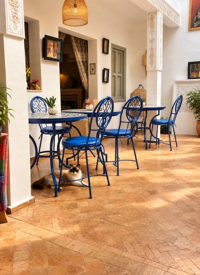 riad-dar-chadia-patio-bleu-chat